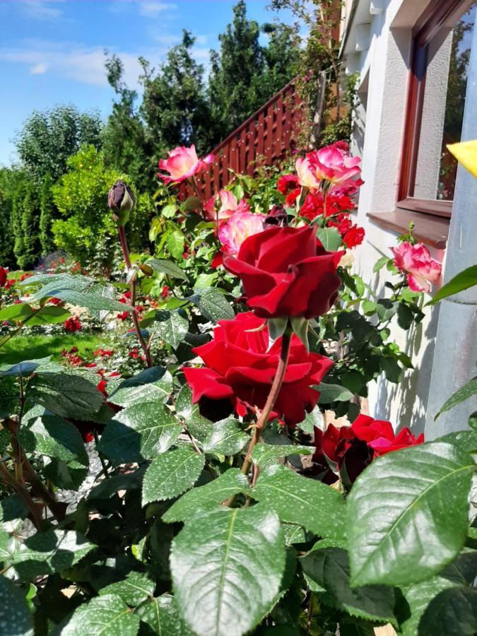 Rozsakert Vendeghaz Bed & Breakfast Szigliget Exterior foto