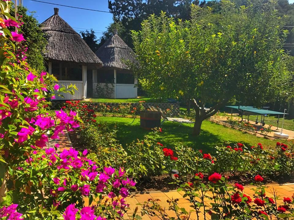 Rozsakert Vendeghaz Bed & Breakfast Szigliget Exterior foto